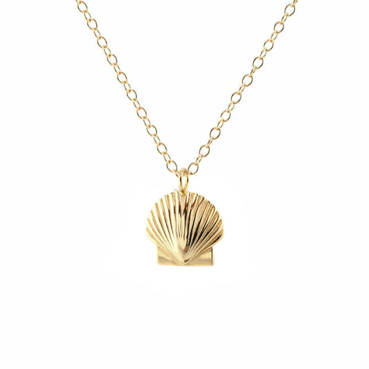 Seashell Necklace