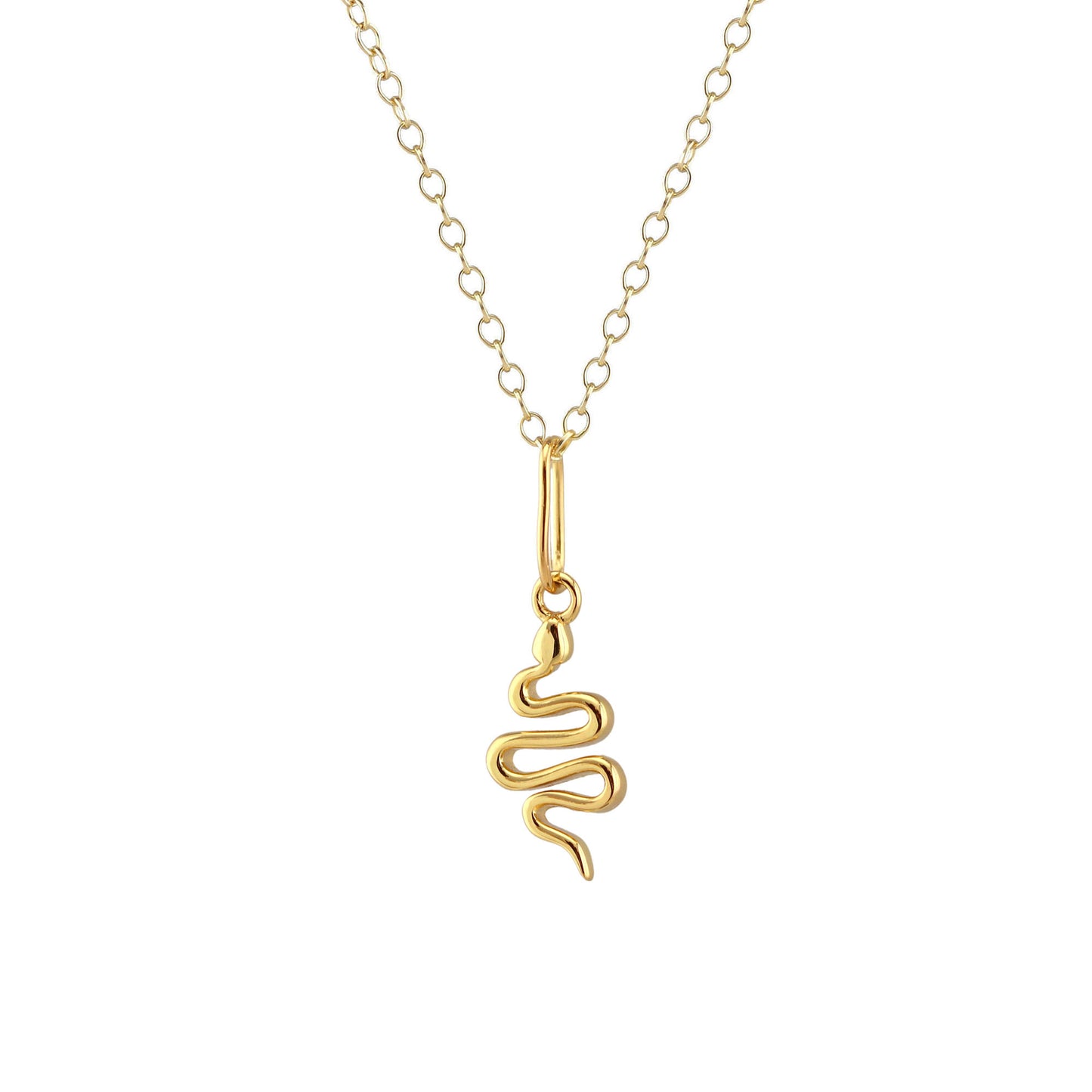 Snake Charm Necklace