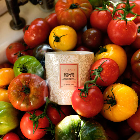Tomato Trellis Classic Candle
