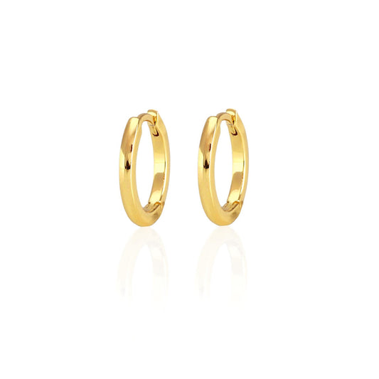 Classic Hinged Huggie Hoop Earrings